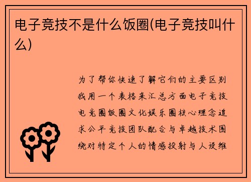电子竞技不是什么饭圈(电子竞技叫什么)